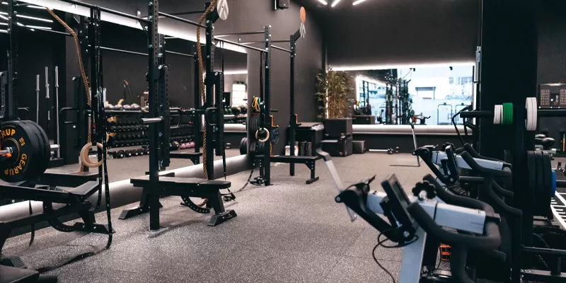 Wellness Project