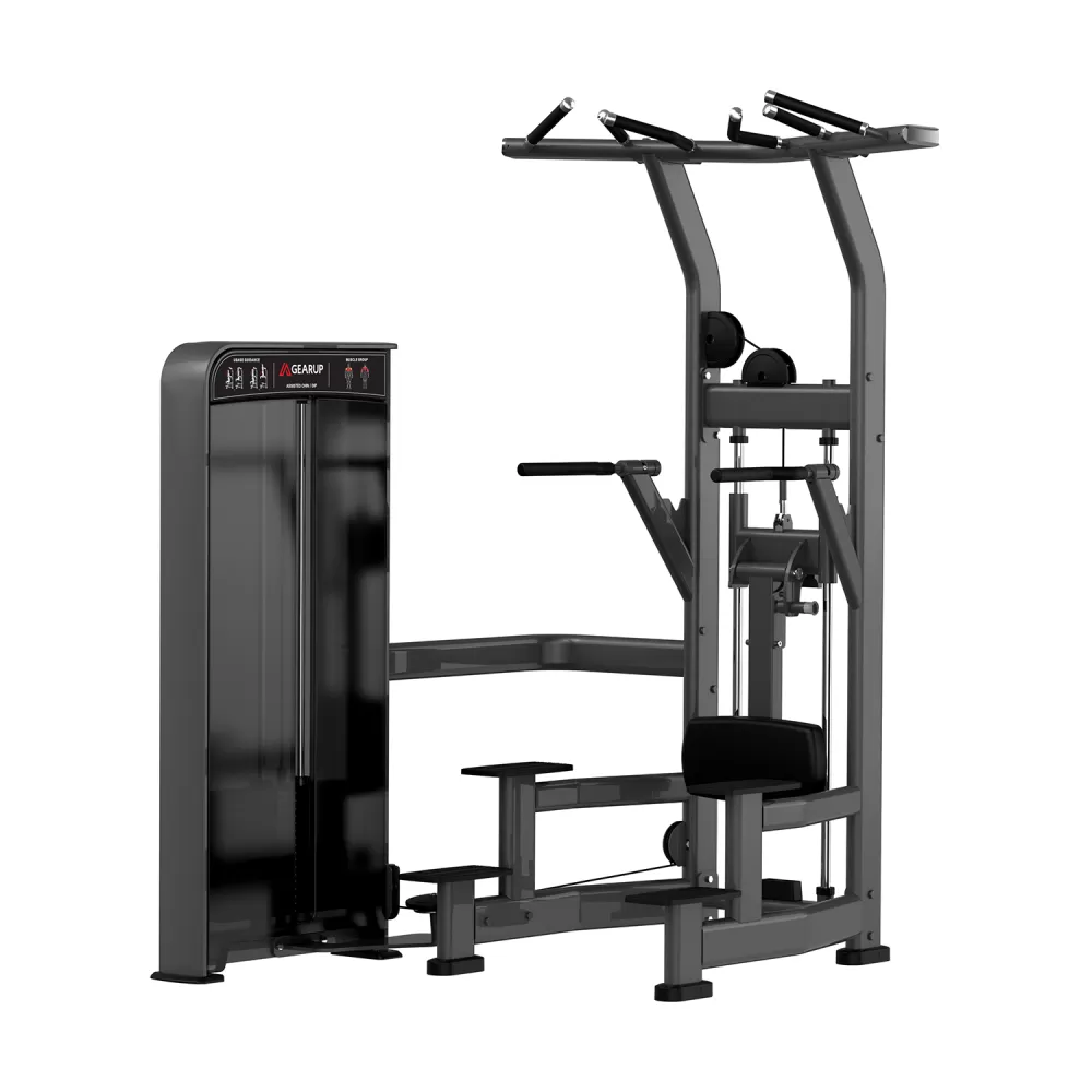 GearUp Assisted Chin-up/Dip Station - Prestige Series